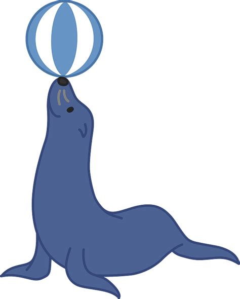 Sea Lion Animal Balancing Ball On Nose Clipart Free Download