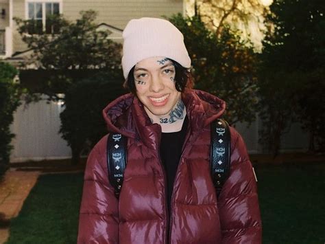 Lil Xan “total Xanarchy” Stream Cover Art And Tracklist Hiphopdx