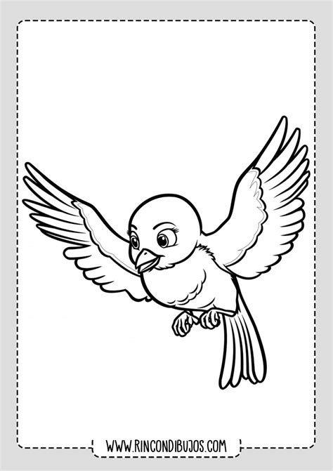 Dibujos De Pájaros Para Colorear Imprimir Y Colorear