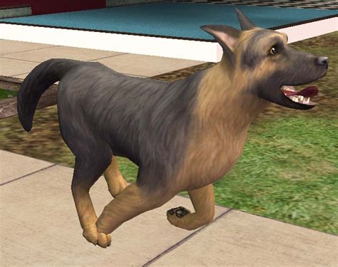 Mod The Sims Black And Tan German Shepherd Dog