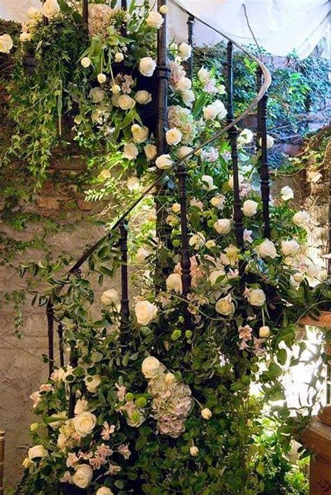 Shabby Chic Sweet ZsaZsa Bellagio Like No Other Beautiful Gardens Climbing Roses Dream