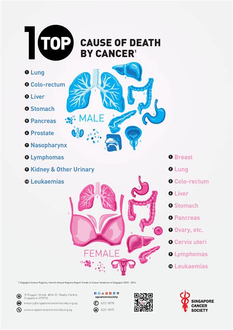 Cancer Poster 4