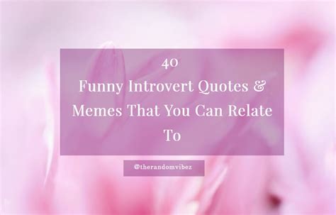 40 Funny Introvert Quotes And Memes That You Can Relate To