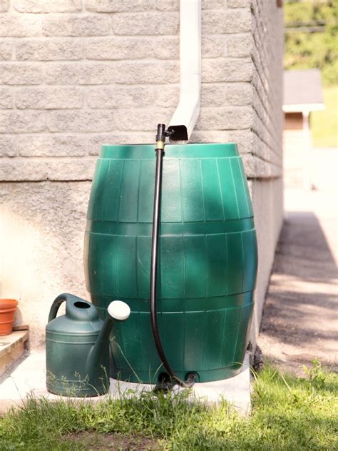 Conserve Water With A Rain Barrel Hgtv