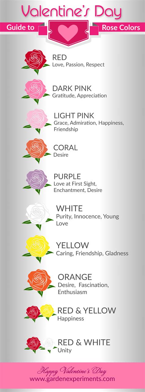 The Meaning Of Rose Colors A Valentines Day Guide
