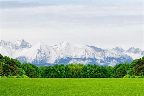 A Green Glade At The Foot Of Snow Capped Mountain Peaks A Miracle Of