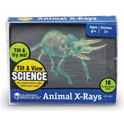 Animal X Rays Children Science Toy Educational Toys Planet