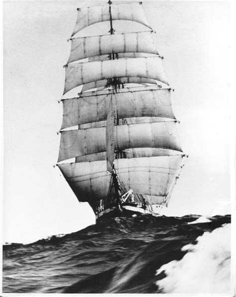 Fighting Naturalist Photo Sailing Ships Old Sailing Ships Sailing