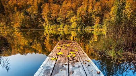Lake Season Autumn Full Hd Desktop Wallpapers 1080p