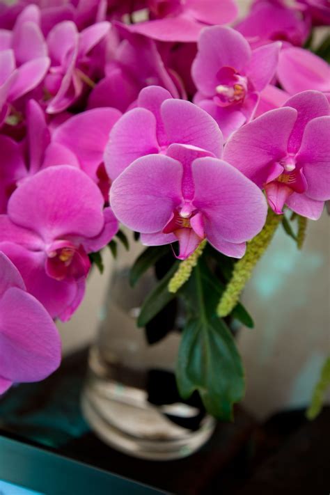 Perfect for an outdoor fall wedding, this bouquet features an assortment of wildflowers, roses, lilies, wallflowers, and hypericum. Detail of cascading bridal bouquet of pink Phalaenopsis ...