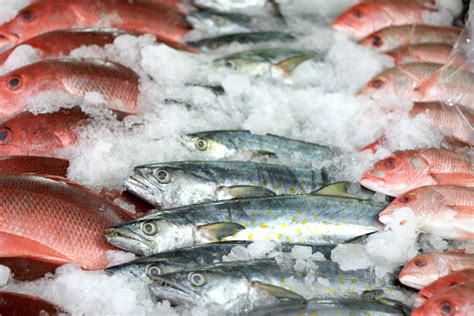 Consumir pescado y marisco una dieta saludable Comisión Nacional de