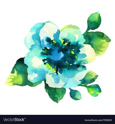 Watercolor Of Blue Flower Isolated Royalty Free Vector Image