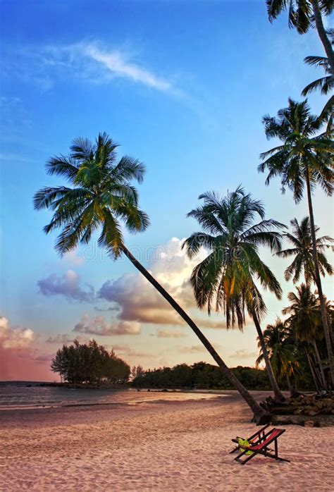Beautiful Tropical Beach With Silhouettes Palm Trees At Sunset Stock