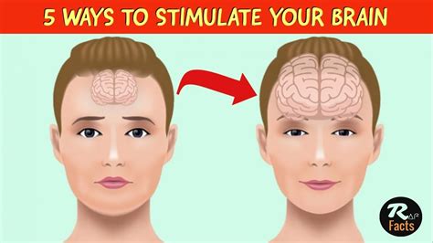 5 Ways To Stimulate Your Brain And Increase Your Brain Power Youtube
