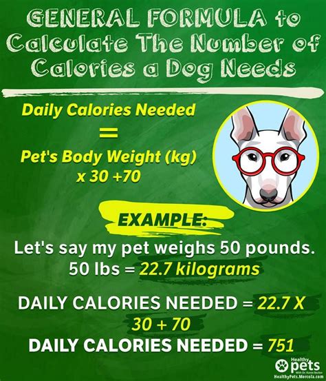 Read on for important nutrition tips to help keep your feline friend healthy. How Many Calories Does Your Pet Need A Day General