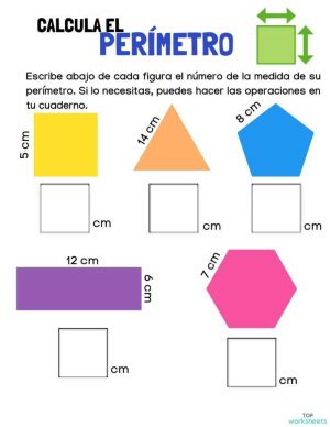 Perímetro de polígonos Ficha interactiva TopWorksheets