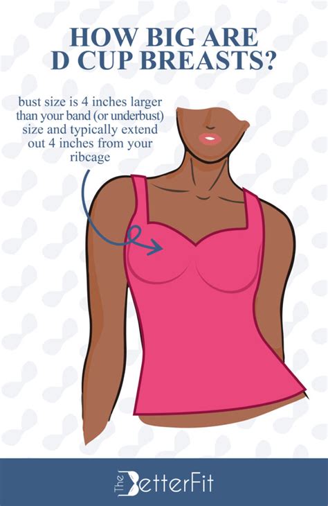 how big are d cup breasts thebetterfit