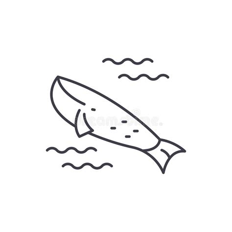Tail Of A Whale Line Icon Concept Tail Of A Whale Flat Vector Symbol Sign Outline