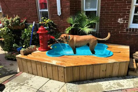 8 Easy Diy Dog Pool Ideas In 2020 Dog Pool Pet Friendly Backyard