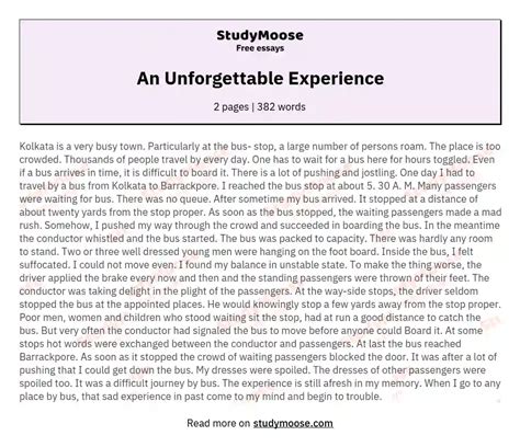 An Unforgettable Experience Free Essay Example