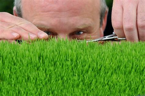 Not a good idea to feed it to them. Do You Mow the Lawn or Cut the Grass?