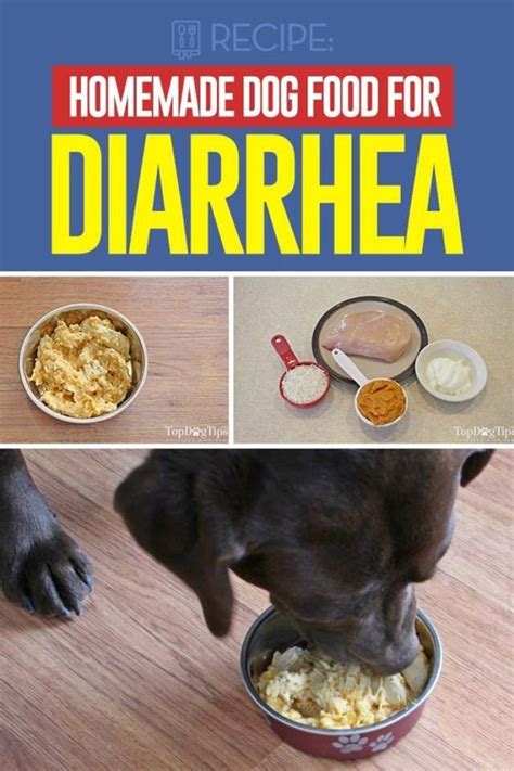 Recipe Homemade Dog Food For Diarrhea Dog Food Recipes Healthy Dog