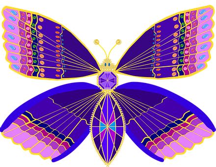 Kostenlose Embelishment Schmetterling Vektorgrafiken Pixabay