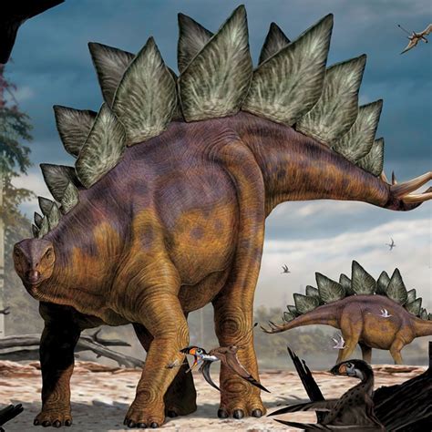 Stegosaurus Aghipbacid