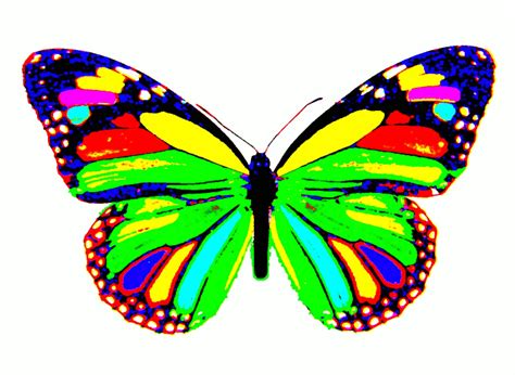 Butterfly Wallpaper Hd 