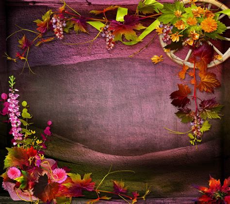 Autumn Flowers Wallpapers Wallpaper Cave