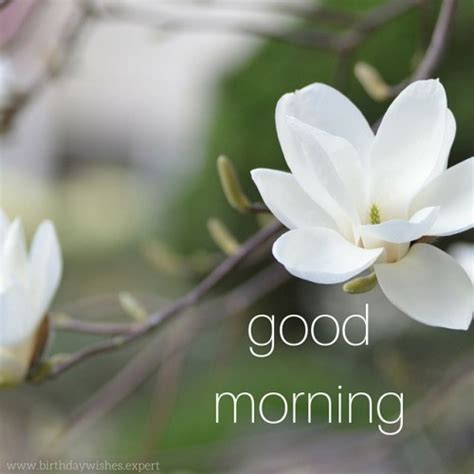 For that sweet friend, these good morning text messages would make his or her day. Good Morning Wishes For Friend Pictures, Images - Page 27