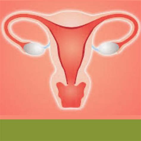 Estenose Vaginal Pós Radioterapia BioOnco