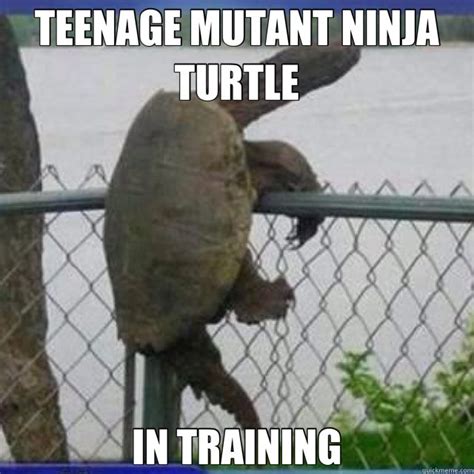 Ninja turtle toys teenage mutant ninja turtles funny animal memes cute funny animals funny jokes hilarious tmnt turtle meme funny turtle. WRONG HOLE!! | Teenage mutant ninja turtles funny, Ninja ...