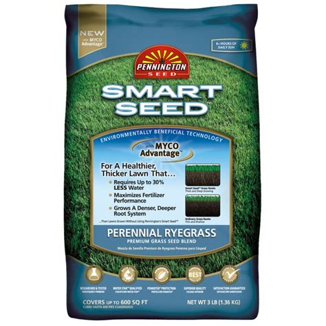 Pennington Smart Seed 3 Lb Perennial Ryegrass Grass Seed At