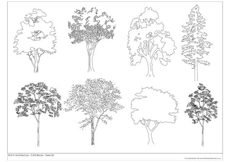 Architectural Tree Sketches 1000 Images About Tree On Pinterest 3d