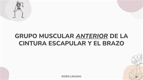 Grupo Muscular Anterior Del Brazo Y Hombro Andra Udocz