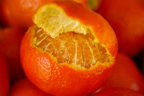 Peeled Orange Free Image Download