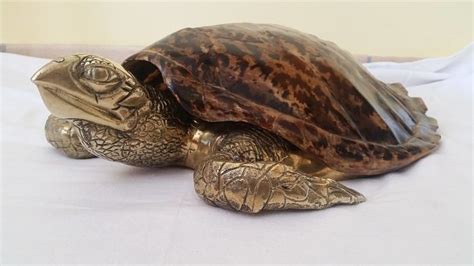 They usually nest in the same proximity of the coral reefs. Interesting vintage Hawksbill Sea Turtle shell, fitted with - Catawiki