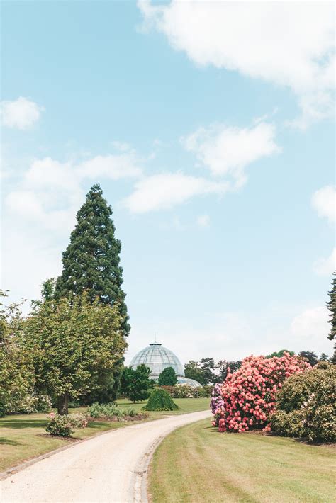 Serres royales de laeken) zijn een complex van serres bij het kasteel van laken. De Koninklijke Serres van Laken - Brussel | Linda's ...