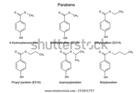 Structural Chemical Formulas Parabens Food Cosmetic Stock Illustration