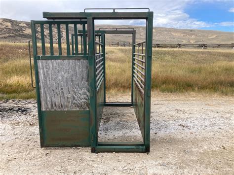 Big Valley Bucking Chute Bigiron Auctions