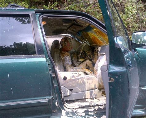 Pics Driver And Dog Covered In Paint After Car Crash Daily Star