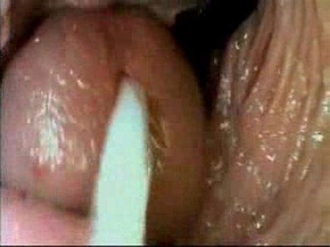 View Of Penis Inside Vagina Top Porn Images Comments