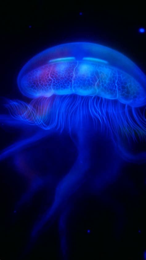 Norwegian Atmospheric Jellyfish Naturerules1 Wiki Fandom