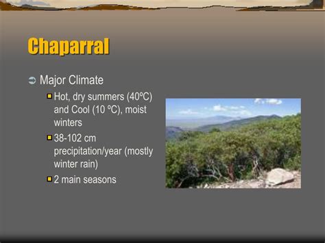 The Chaparral Biome Facts Pictures Indepth Information