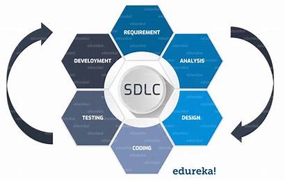 Testing Software Tutorial Sdlc Cycle Perform Phases