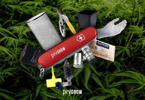 10 indispensable tools to grow cannabis