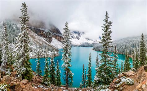 Canada Parks Lake Mountains Winter Moraine Lake Banff Fir Nature 411074