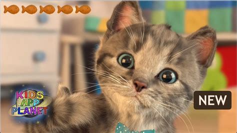 🐱 Little Kitten My Favorite Cat New Lovely And Cute Game Ios Youtube