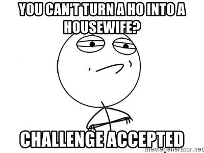 You Can T Turn A Ho Into A Housewife Challenge Accepted Challenge